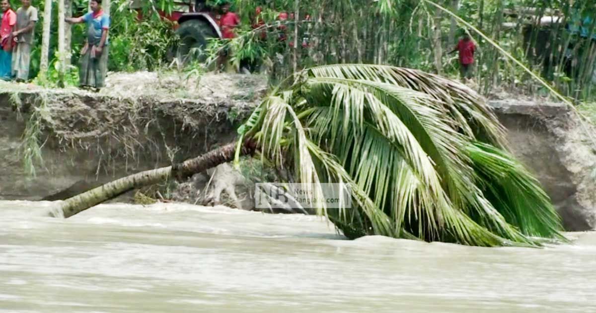 যমুনায়-হারাল-৪০০-ঘর