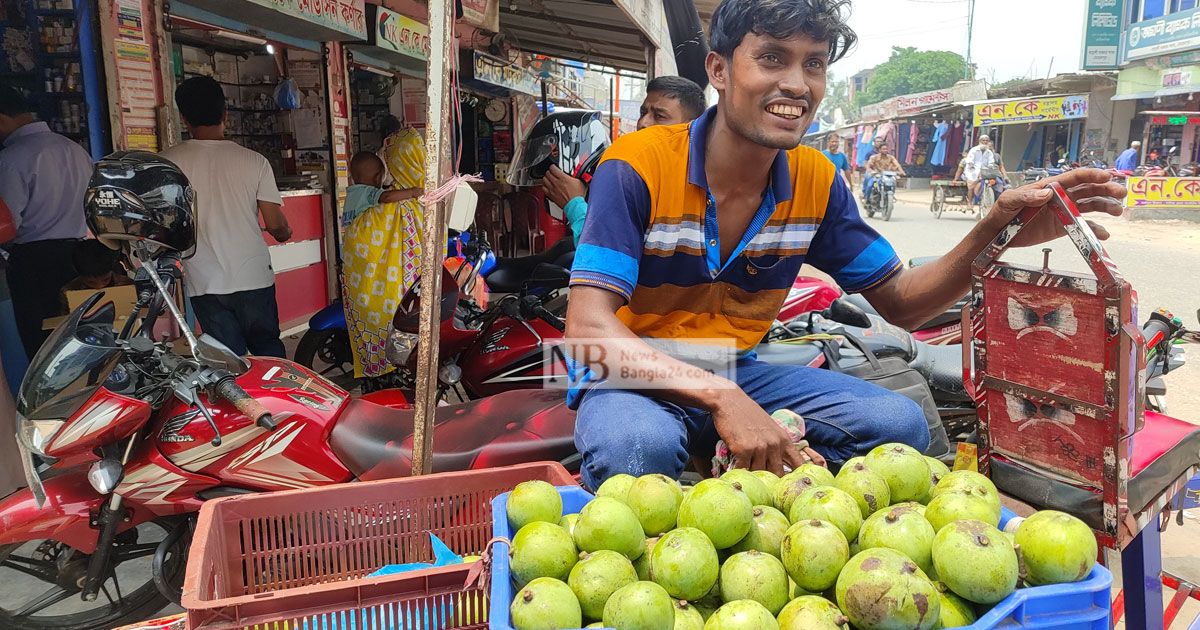 মেহেরপুরের বাজারে ‘কেমিক্যালে’ পাকানো আম