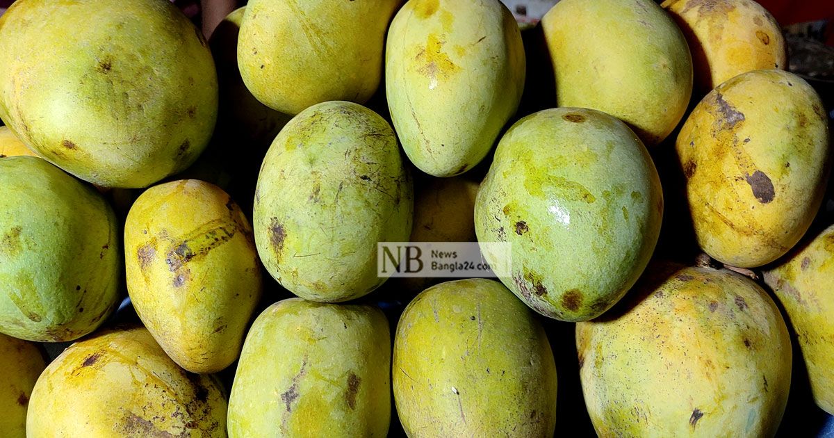 মেহেরপুরের বাজারে ‘কেমিক্যালে’ পাকানো আম