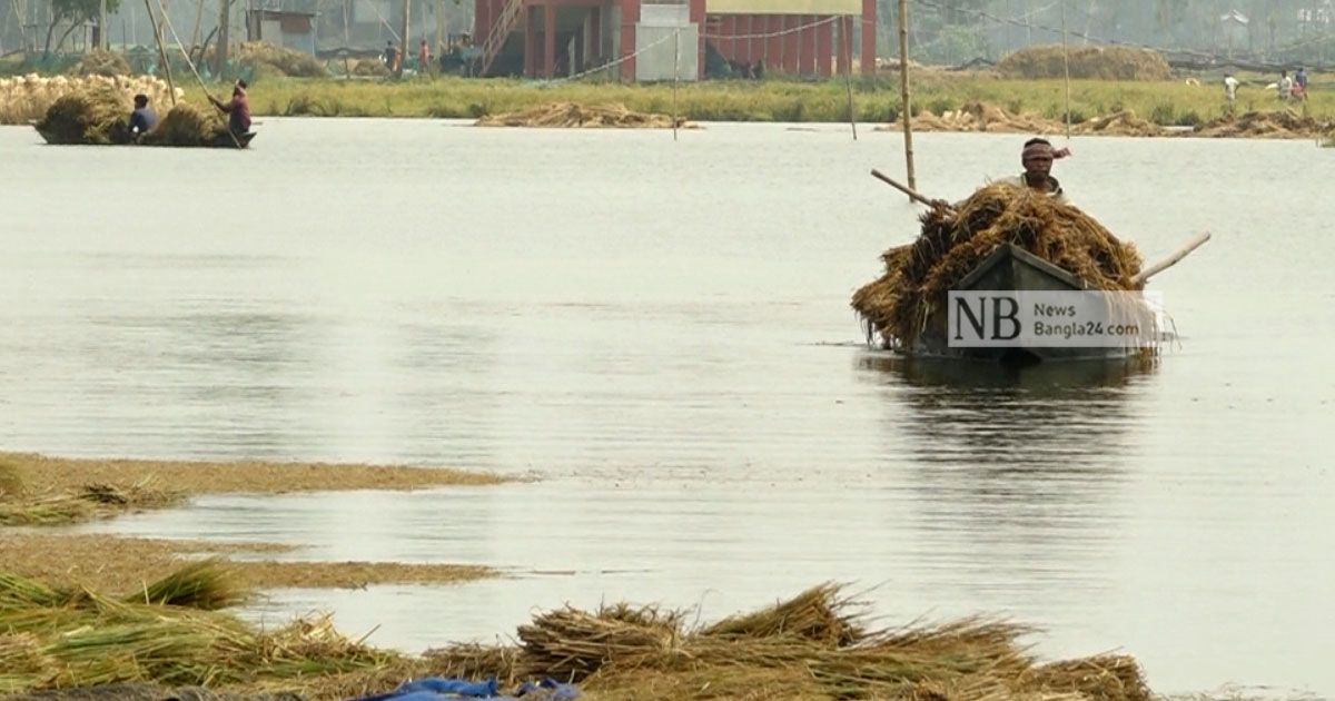 তলিয়ে গেছে হাশেম আলীদের স্বপ্ন