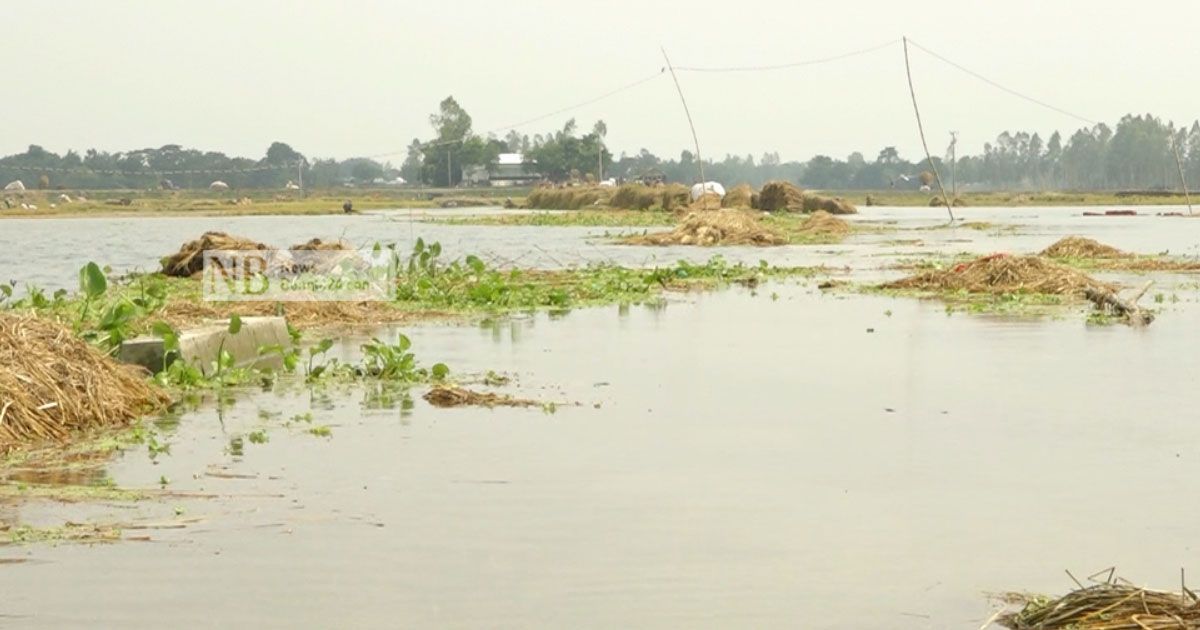 তলিয়ে গেছে হাশেম আলীদের স্বপ্ন
