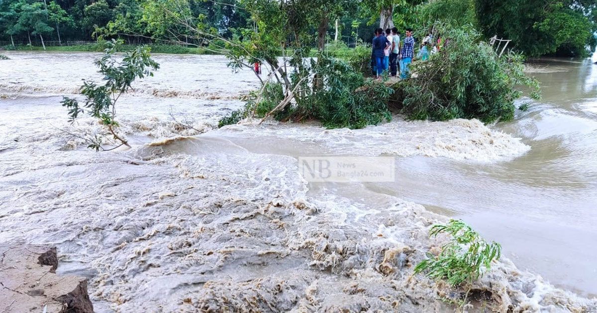 বন্যায় বেশি ক্ষতি সড়ক-কৃষি-মাছের 