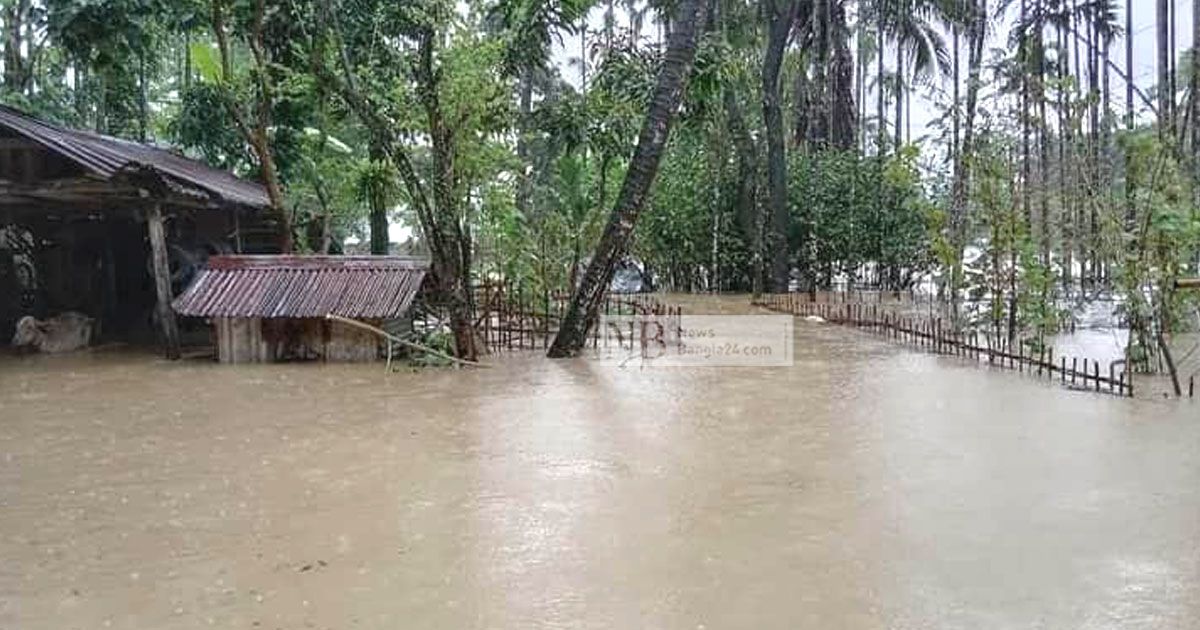 বন্যায় বেশি ক্ষতি সড়ক-কৃষি-মাছের 