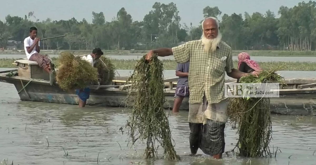 এত গরিব কেন কুড়িগ্রাম