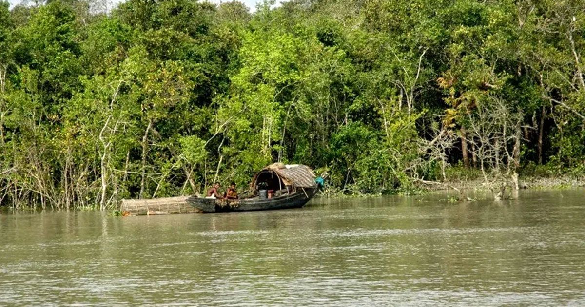Fishing-and-tourist-entry-closed-in-the-Sundarbans-for-3-months