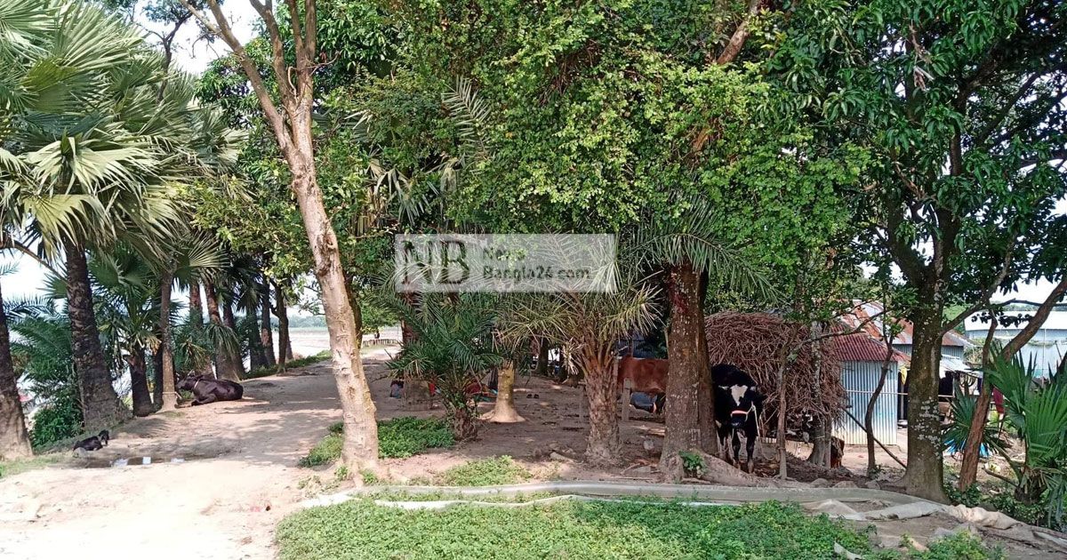 এক মামলায় ‘আতঙ্ক’ ৮ গ্রামে