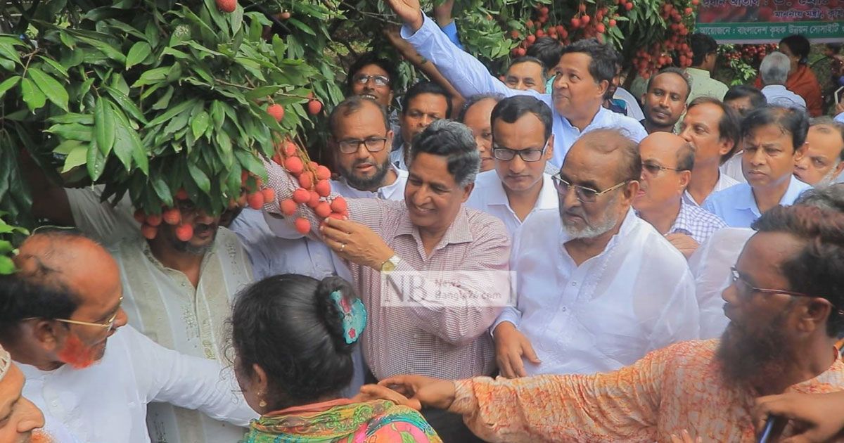 ধানের ফলন কম হলেও ঘাটতির শঙ্কা নেই: কৃষিমন্ত্রী