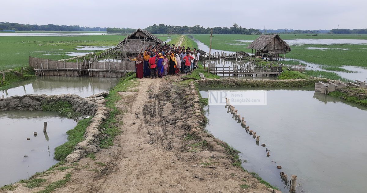 ‘জমি দখল করে’ যুবলীগ-ছাত্রলীগ নেতার মাছের ঘের