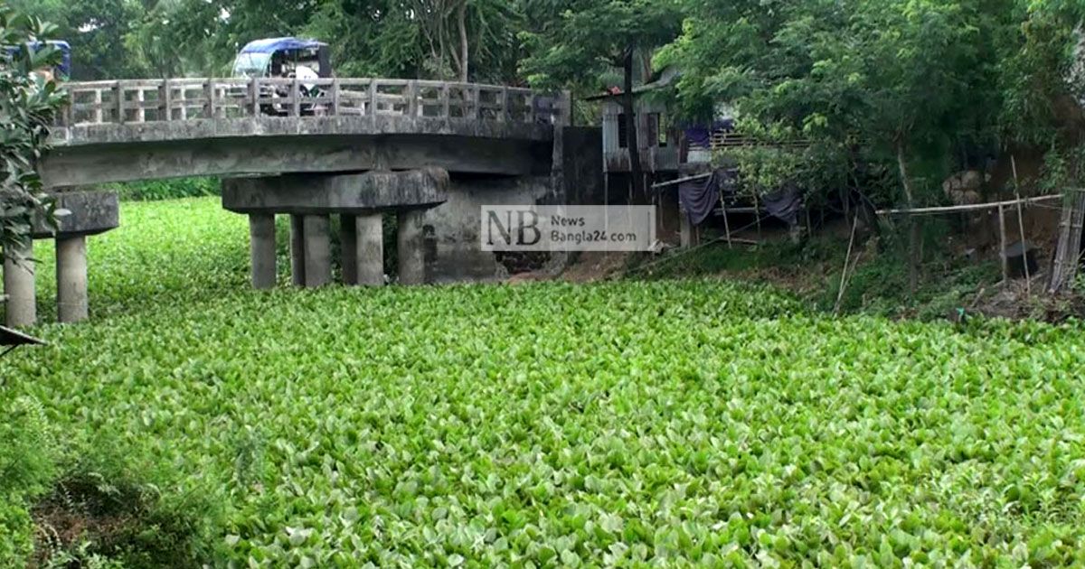 নিজড়ায় সাত খাল খননের দাবি