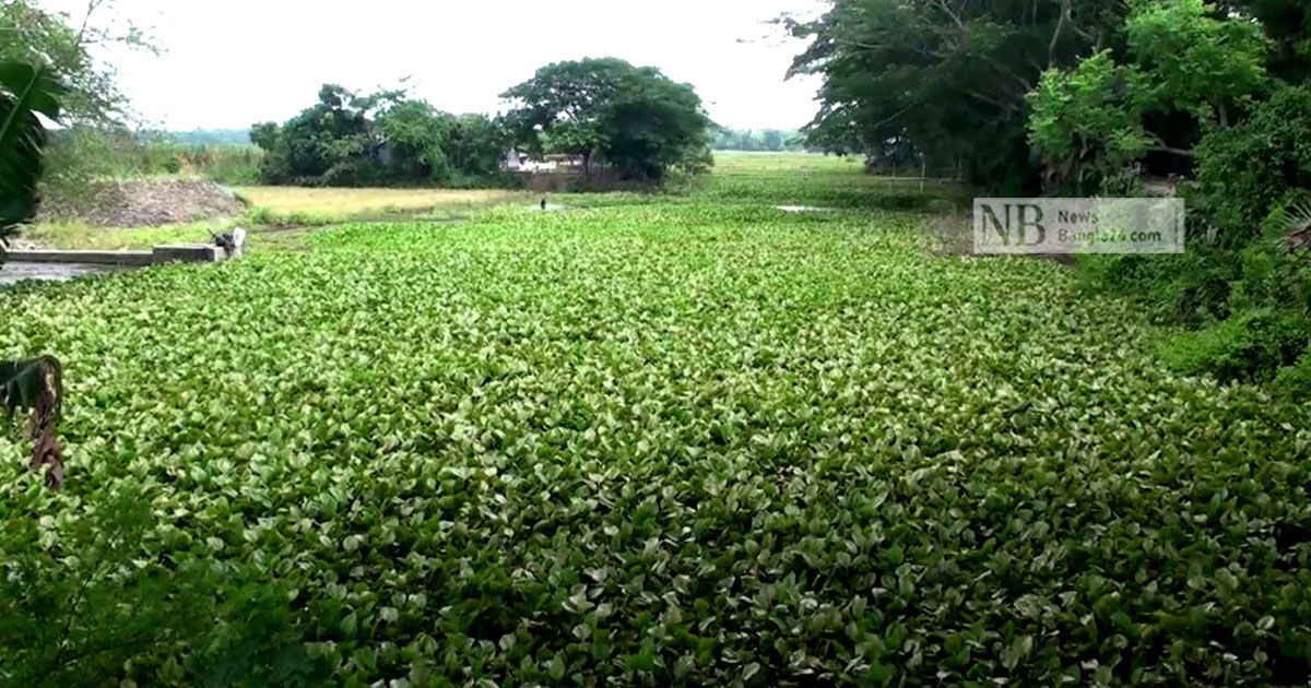 নিজড়ায় সাত খাল খননের দাবি