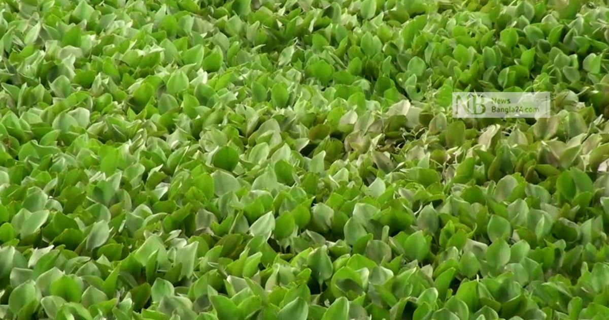 নিজড়ায় সাত খাল খননের দাবি