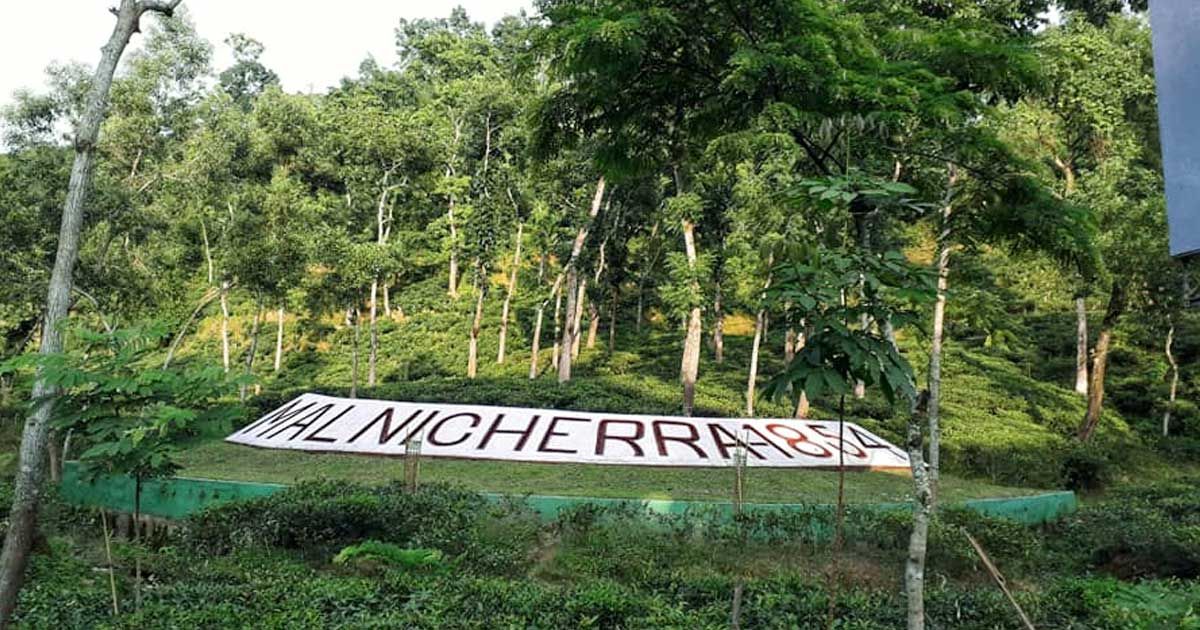 মালনিছড়ায়-যুবককে-কুপিয়ে-হত্যা
