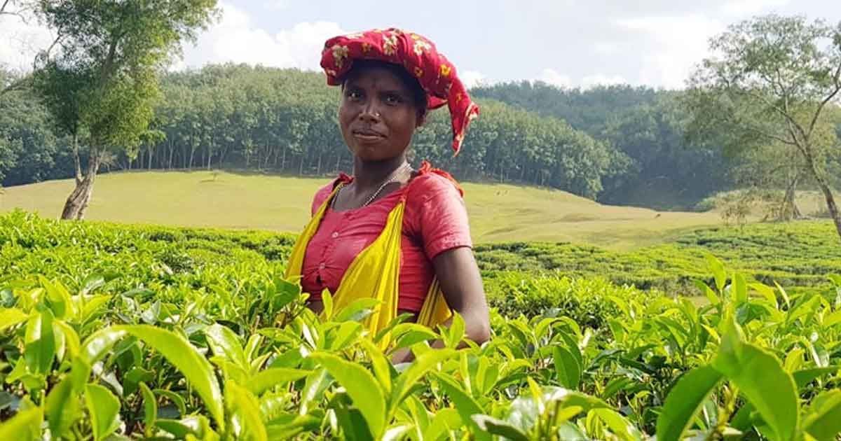 আজ দিনটি চায়ের