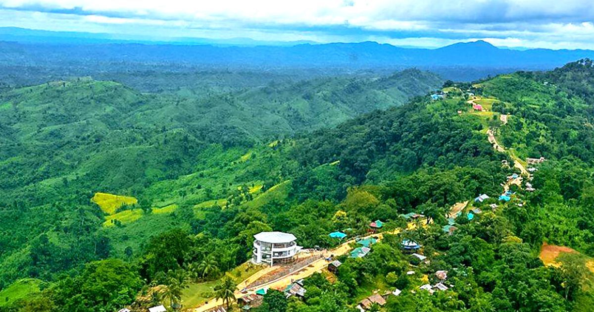 পার্বত্যাঞ্চলের বনে ফিরছে আদি বৃক্ষ