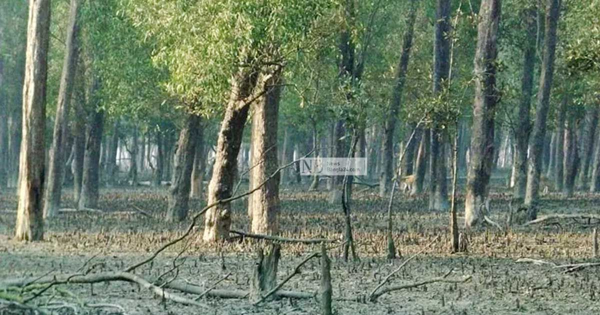 সুন্দরবনে-প্রবেশ-নিষেধ-২৩-হাজার-পরিবার-বিপাকে