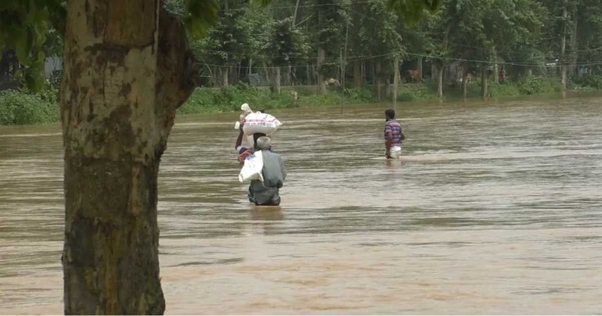 শেরপুরে-যে-ক্ষতি-করে-গেল-ঢলের-পানি