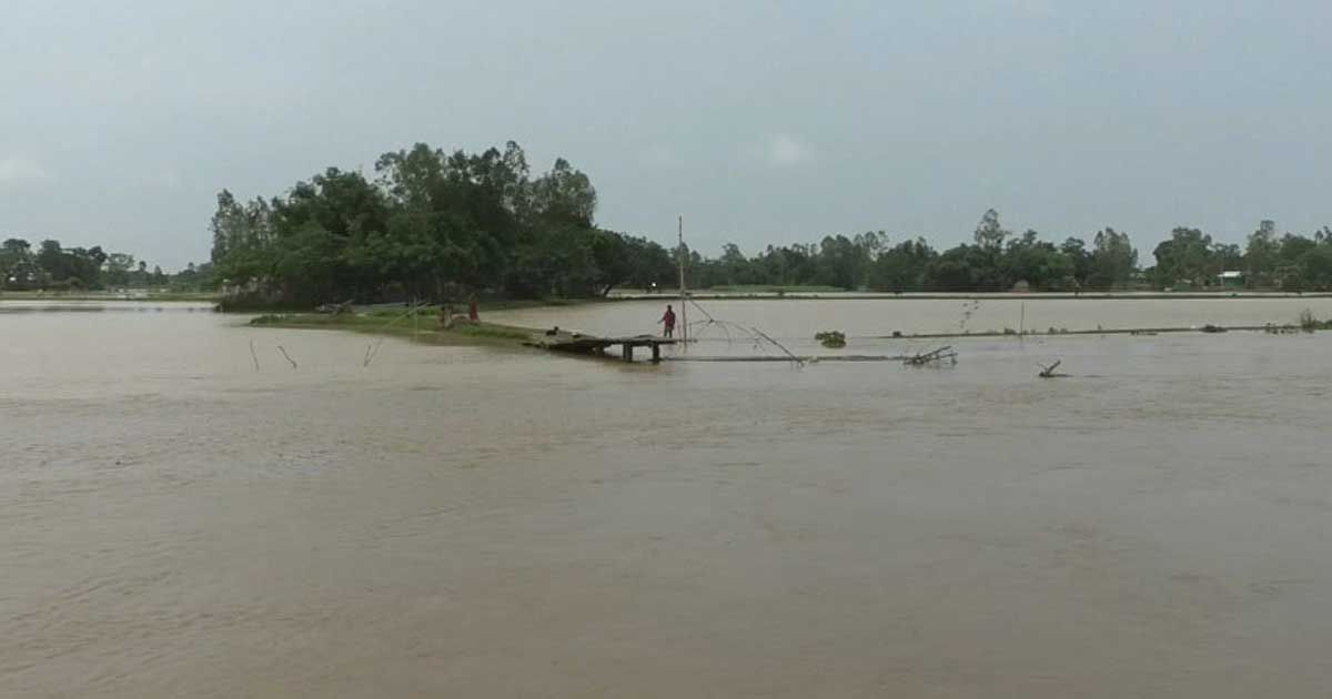 শেরপুরে যে ক্ষতি করে গেল ঢলের পানি