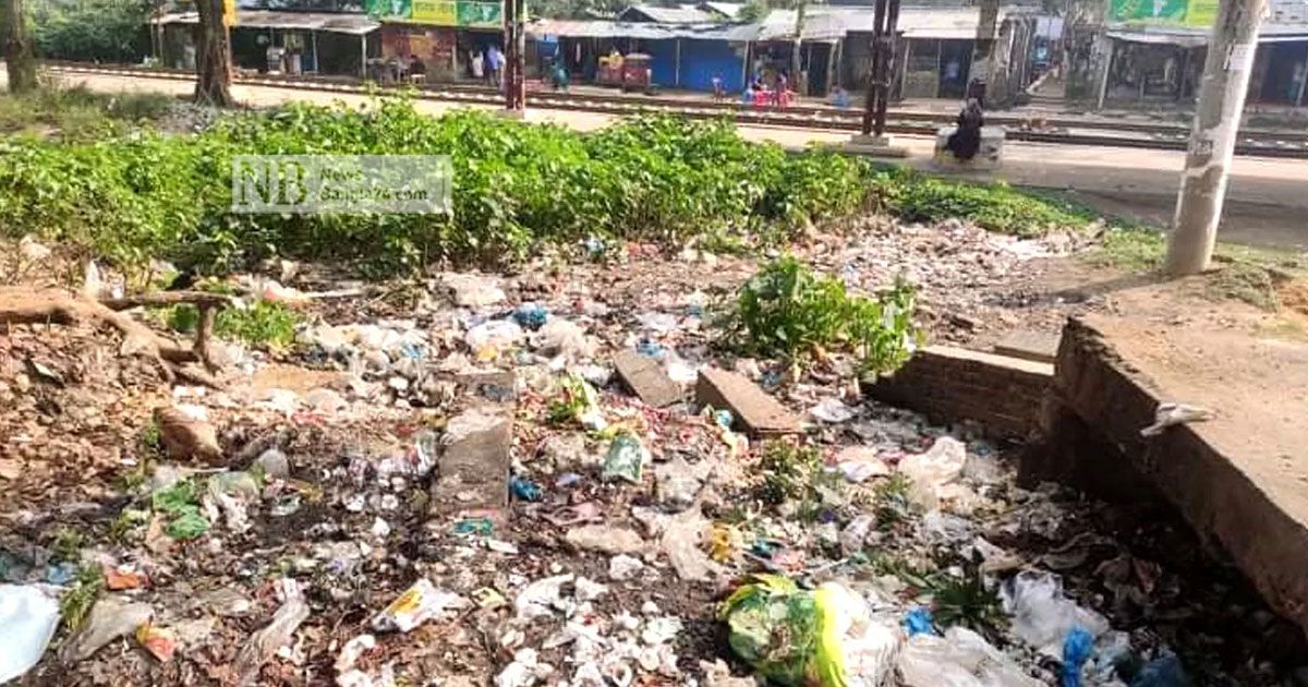 পরিবেশ দূষণকারীদের তালিকা প্রকাশের নির্দেশ