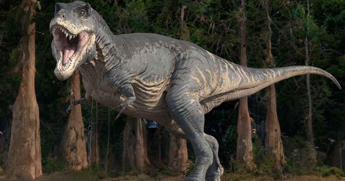 Did-the-dinosaur-T-Rex-swim?