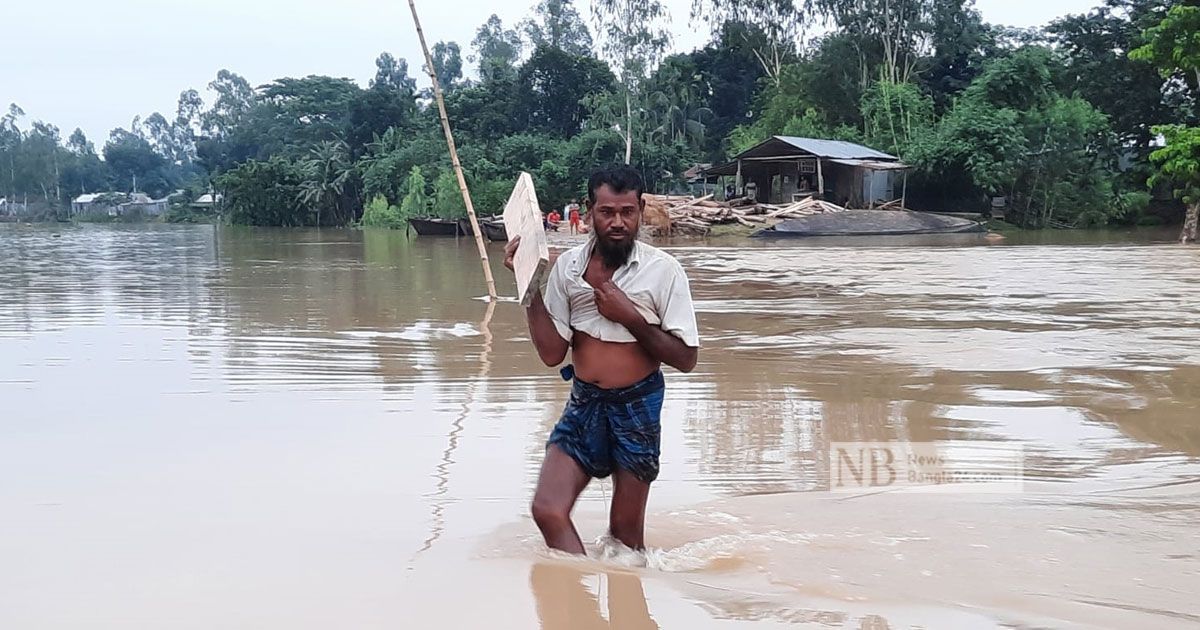 কুড়িগ্রামে ৫০ হাজার মানুষ পানিবন্দি