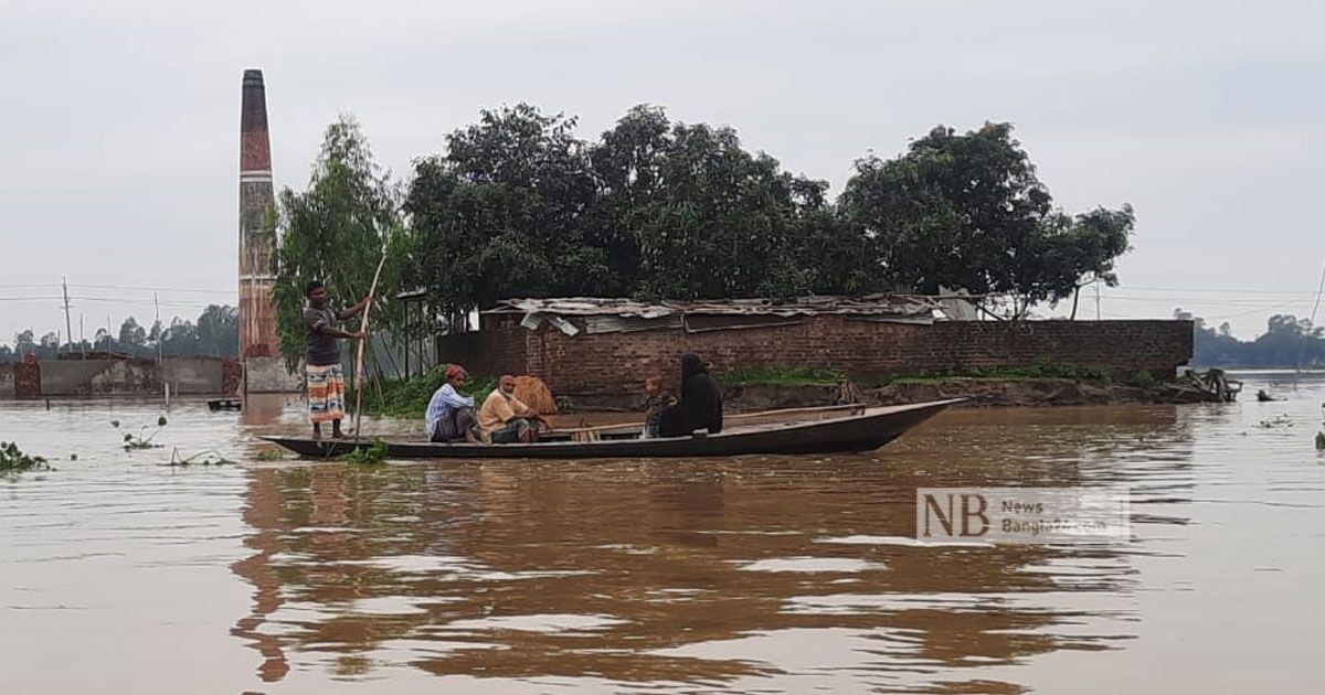 কুড়িগ্রামে ৫০ হাজার মানুষ পানিবন্দি