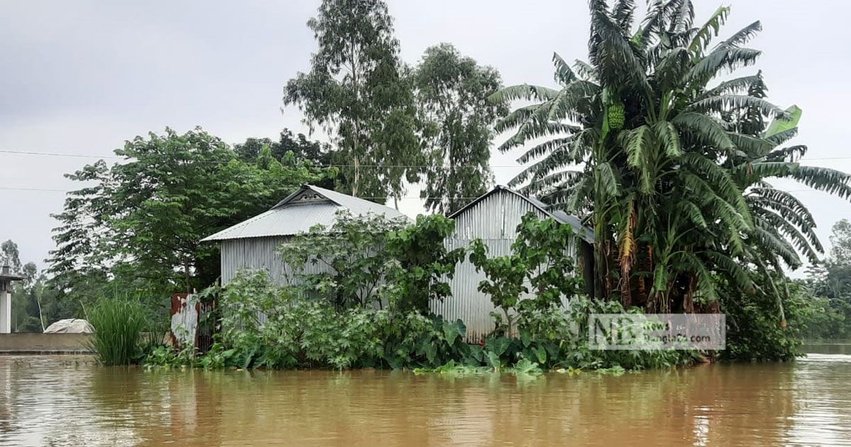 কুড়িগ্রামে ৫০ হাজার মানুষ পানিবন্দি