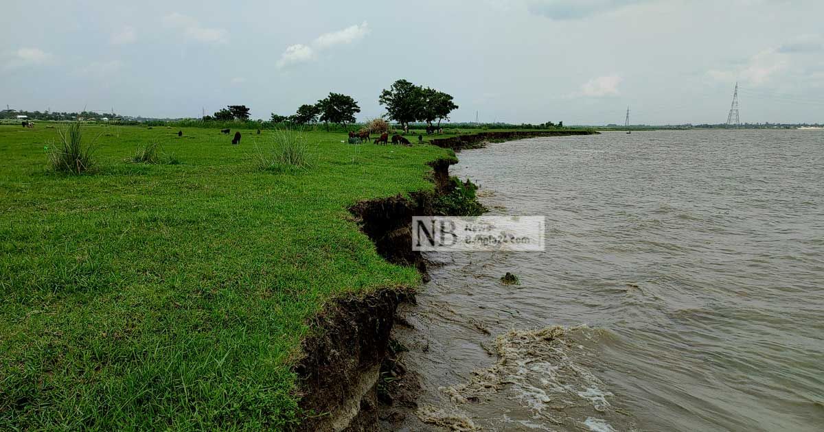 ক্ষুধার্ত মেঘনার সঙ্গে লড়ছে নরসিংদী