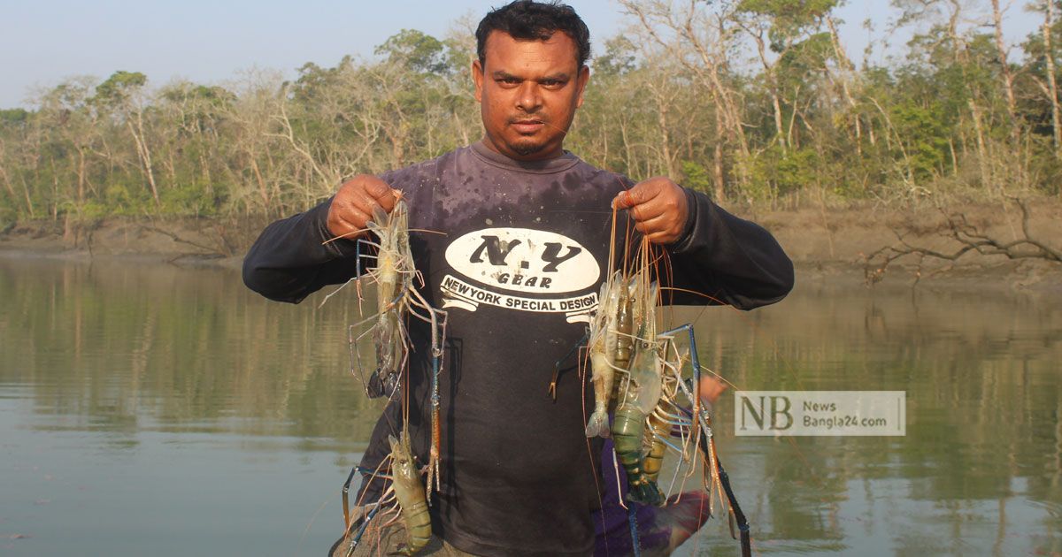 পদ্মা সেতু: উত্তরের মতো কৃষি বিপ্লবের স্বপ্ন দেখছে দক্ষিণও