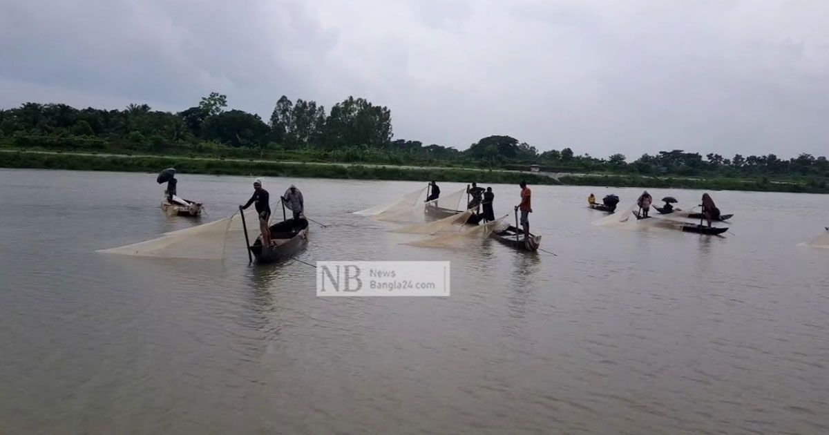 হালদায় ফের ডিম ছেড়েছে মা মাছ