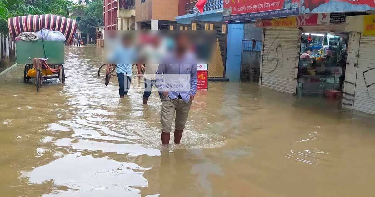 বন্যার পানিতে বিদ্যুতের তারে যুবলীগ নেতার মৃত্যু
