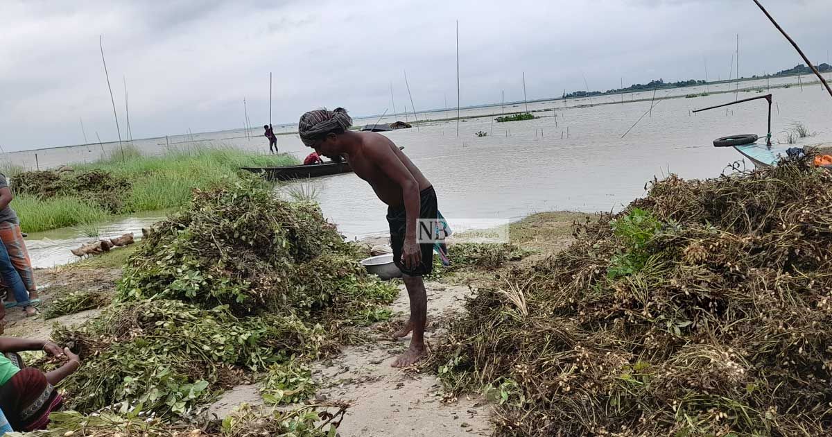 পদ্মার-পানি-বাড়ছে-ফরিদপুরে-নিম্নাঞ্চল-প্লাবিত