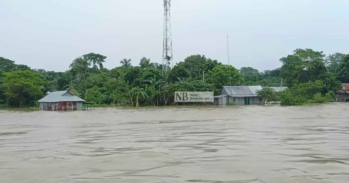 গোখাদ্যের-সংকট-ঘাস-সংগ্রহে-গিয়ে-প্রাণ-হারালেন-কৃষক