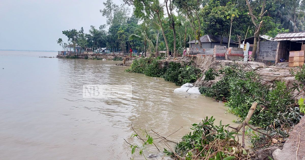 যমুনায় বাড়ছে পানি, বিলীন হচ্ছে বাড়ি