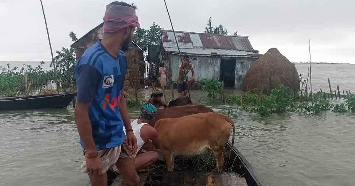 গফুরের দুর্দিনে ঘাস নেই মহেশেরও