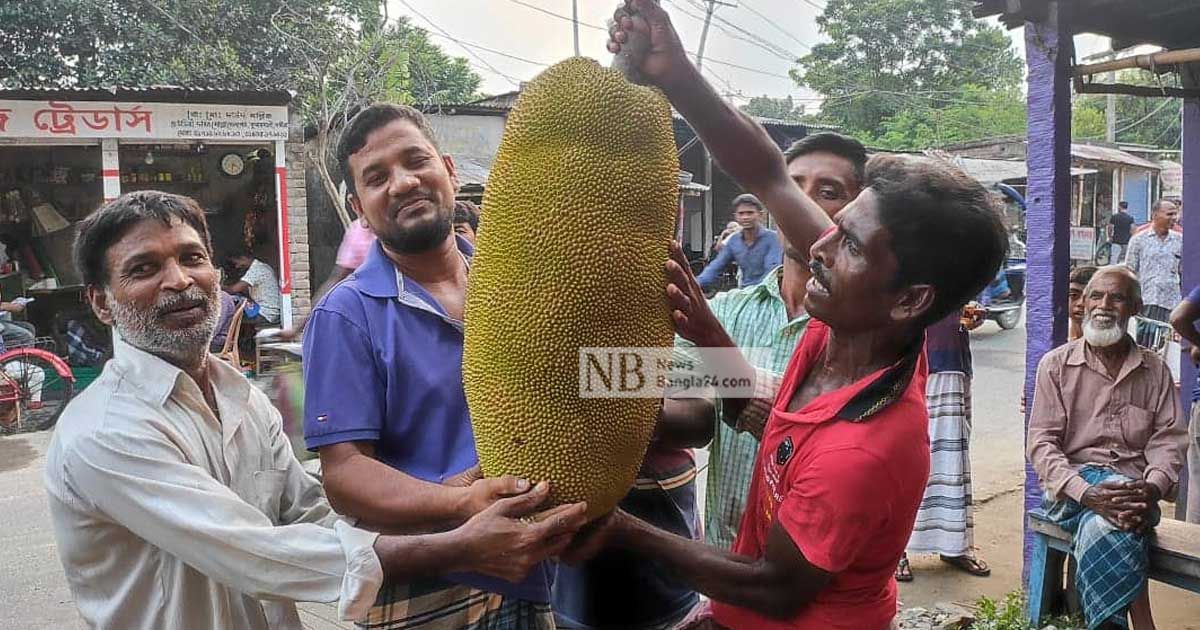 কাঁঠাল বেচতে লটারি