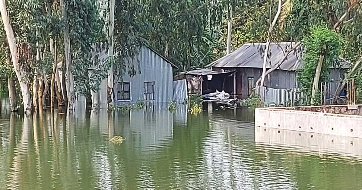 এখনও-ত্রাণ-পায়নি-সিরাজগঞ্জের-পানিবন্দি-মানুষ