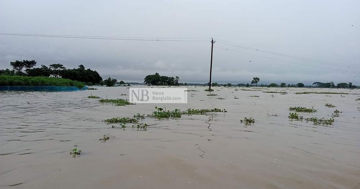 নেত্রকোণায় ভেসে গেছে ১০০ কোটি টাকার মাছ