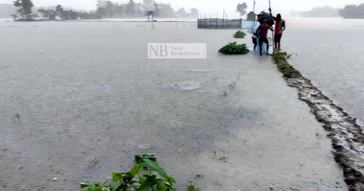 কিশোরগঞ্জে বন্যায় ভেসে গেছে পাঁচ শতাধিক মাছের খামার