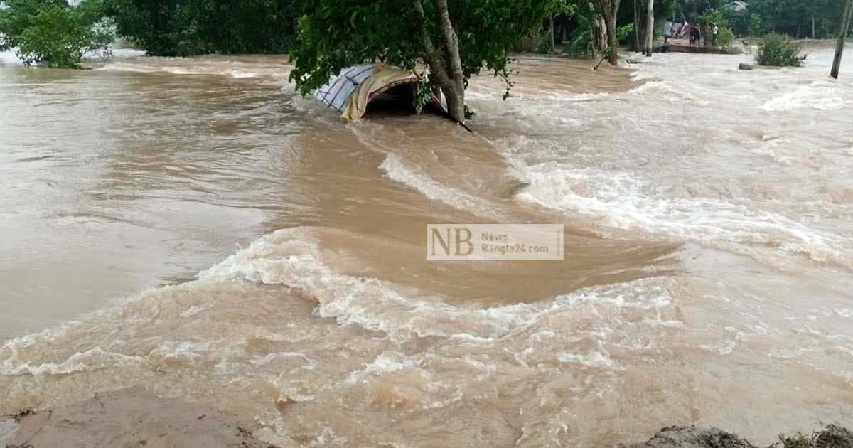 মাছ ধরতে গিয়ে প্রাণ গেল বানের জলে