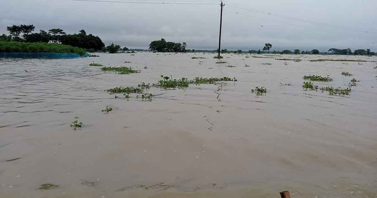 বন্যার পানিতে ডুবে শিক্ষকের মৃত্যু