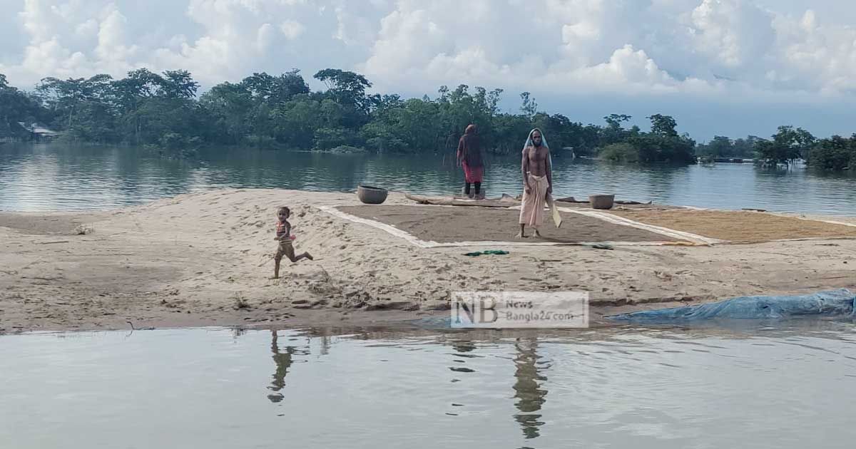 বন্যায় সিলেটে বড় ধাক্কা কৃষিতে