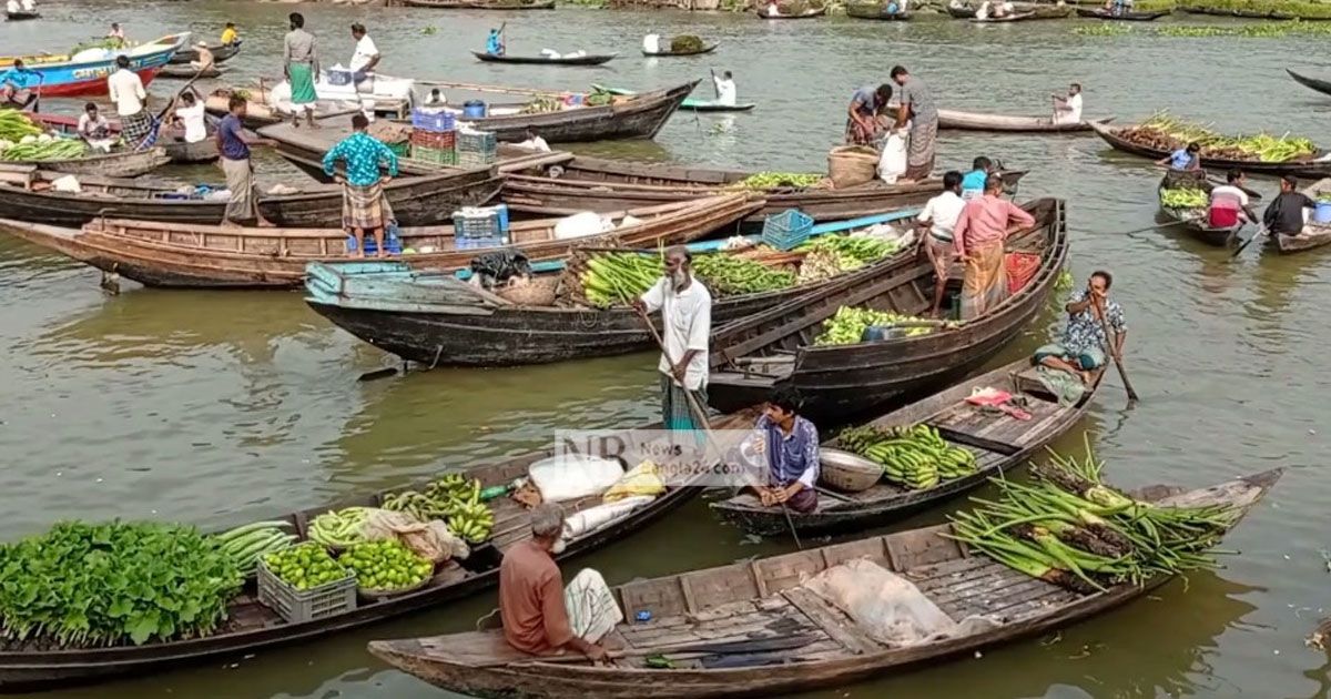 পদ্মা সেতু চালুতে পিরোজপুরে ঘটবে কৃষিবিপ্লব