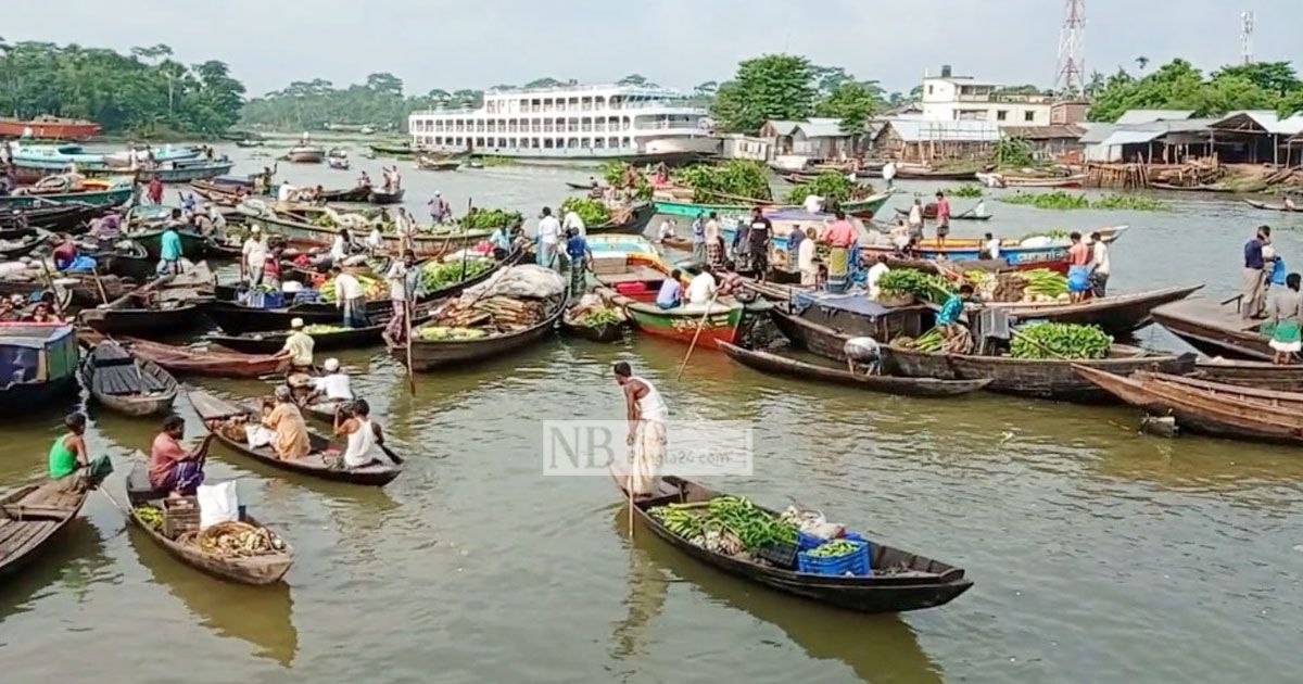 পদ্মা-সেতু-চালুতে-পিরোজপুরে-ঘটবে-কৃষিবিপ্লব