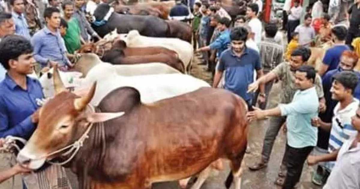 স্বাস্থ্যবিধি-মেনে-পশুর-হাট-বসানোর-নির্দেশ