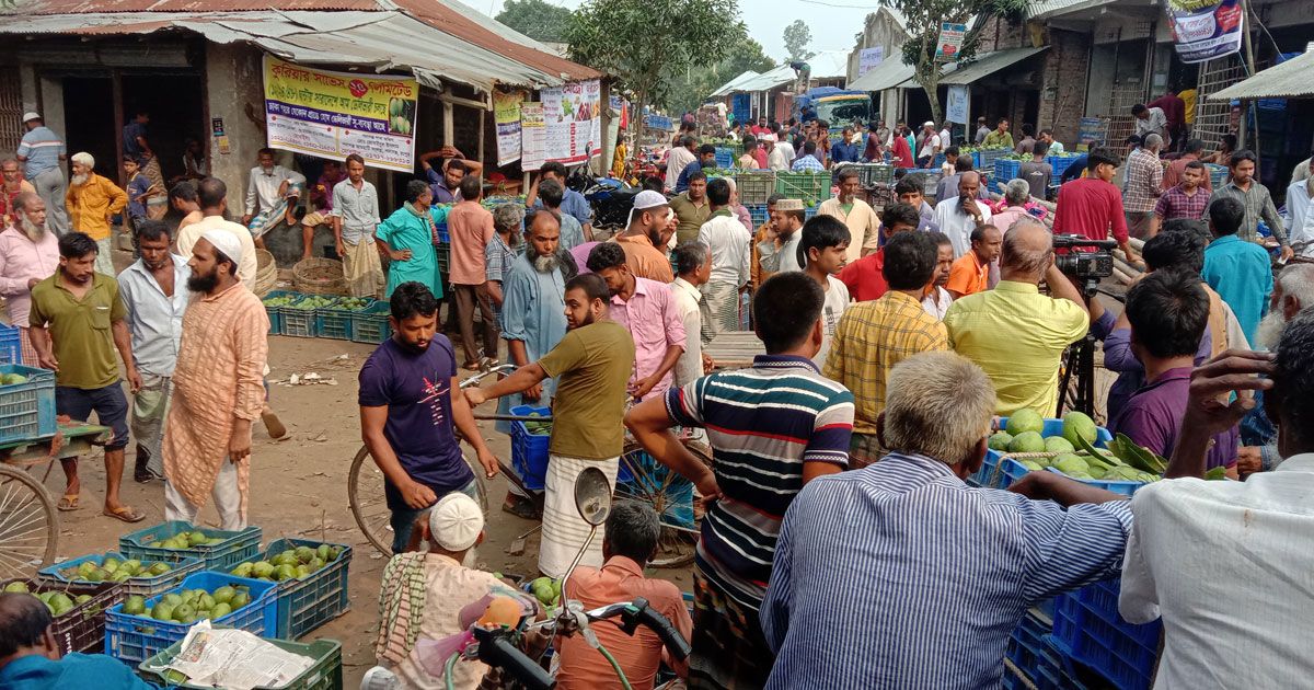 যে গাছ বদলে দিয়েছে রংপুরকে