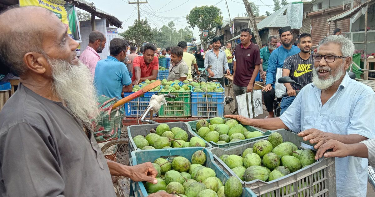 যে গাছ বদলে দিয়েছে রংপুরকে