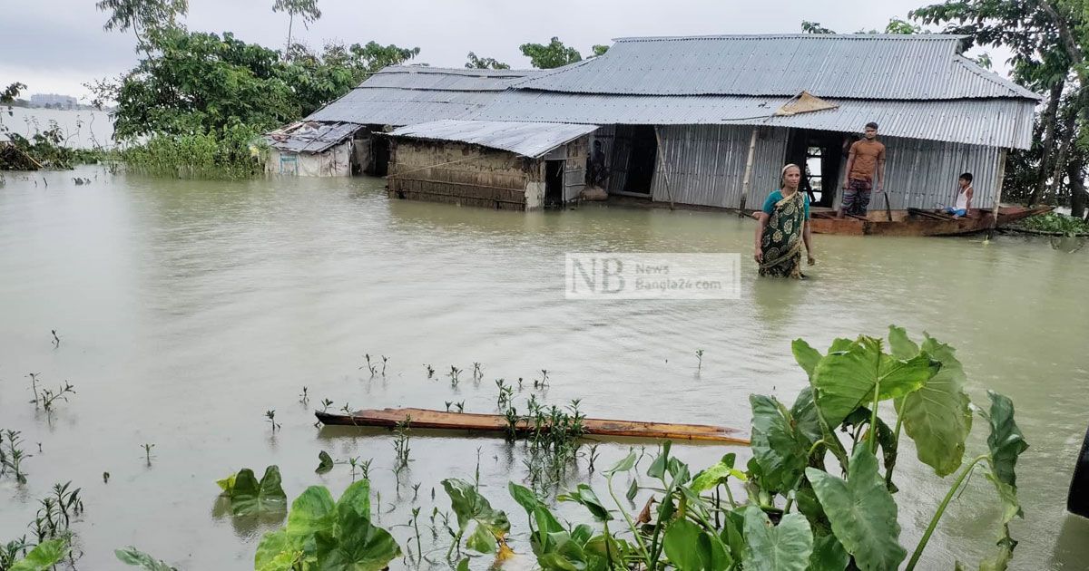 সাপ-আফালের ভয়ে নির্ঘুম রাত কাটে তাদের