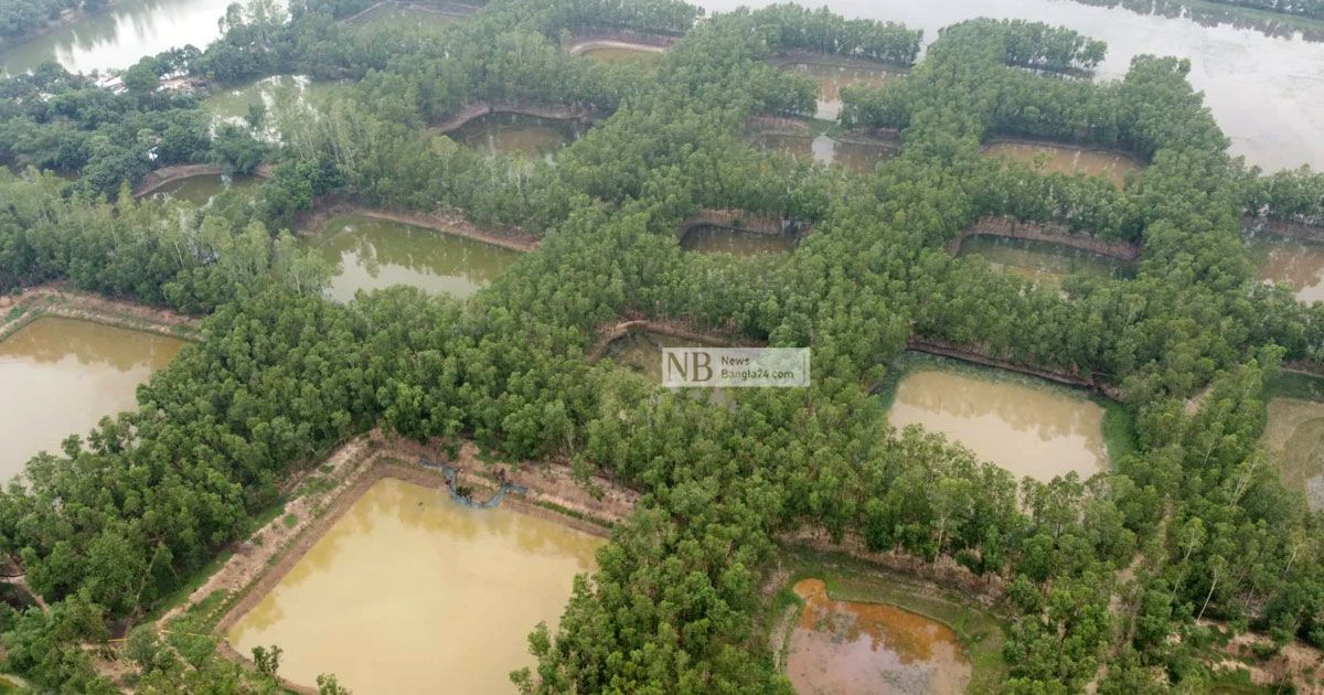 নওগাঁর এক গ্রামে ৩৬৫ পুকুর খননের নেপথ্যে কী