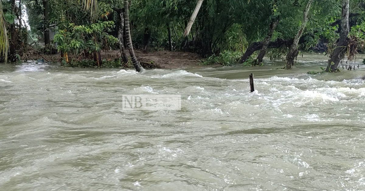 সাপ-আফালের ভয়ে নির্ঘুম রাত কাটে তাদের