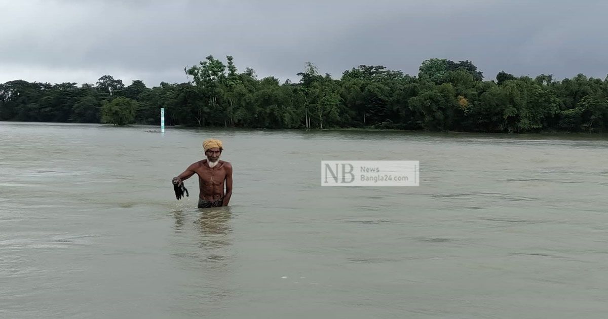 সাপ-আফালের-ভয়ে-নির্ঘুম-রাত-কাটে-তাদের